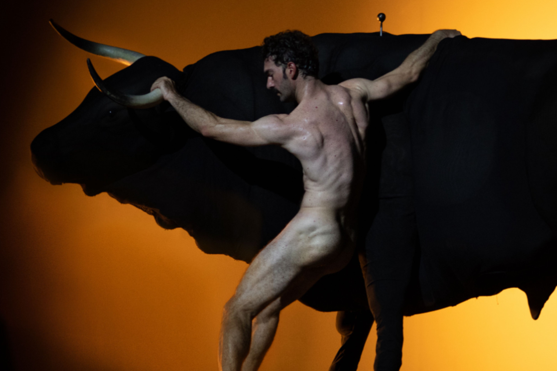 Orientaci&oacute;n Transversal