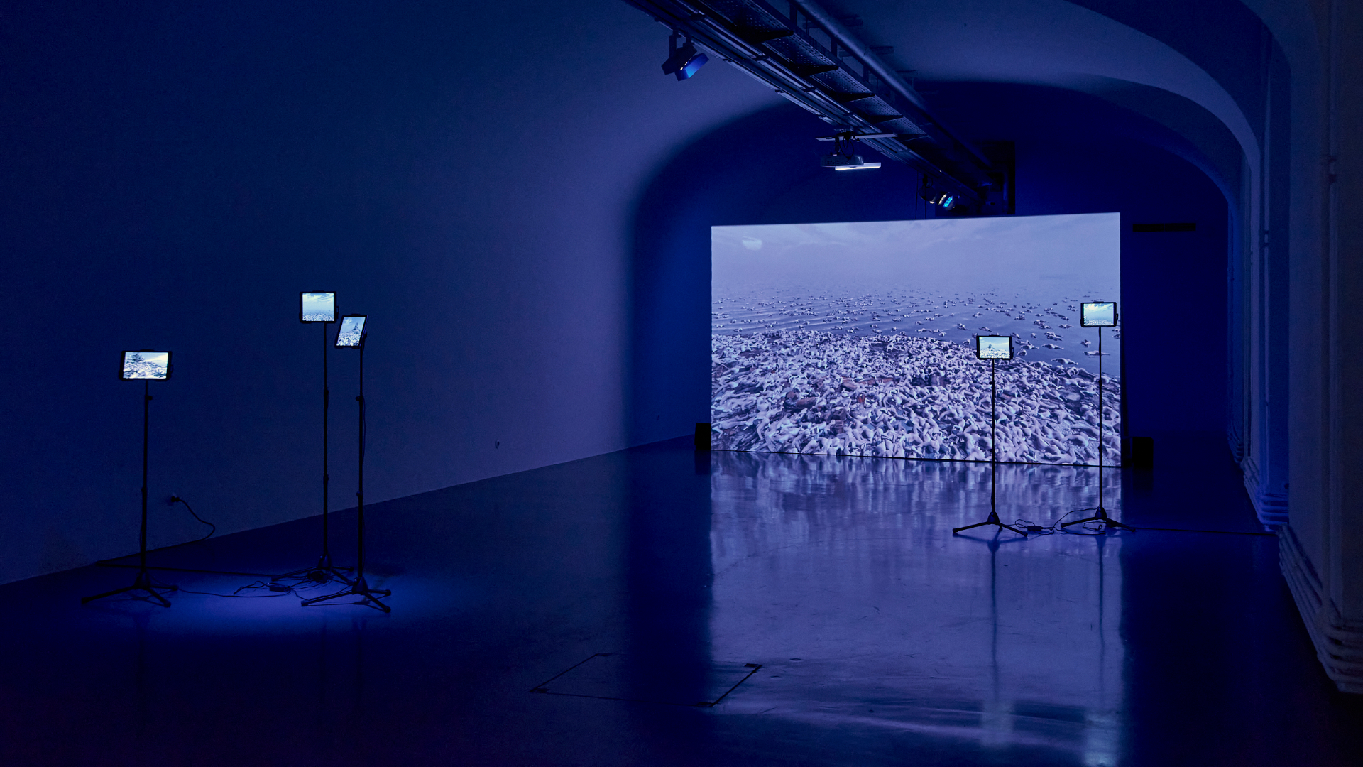 LLEVA CCD MUESTRA DE ARTES ESCÉNICAS AL FIC 49